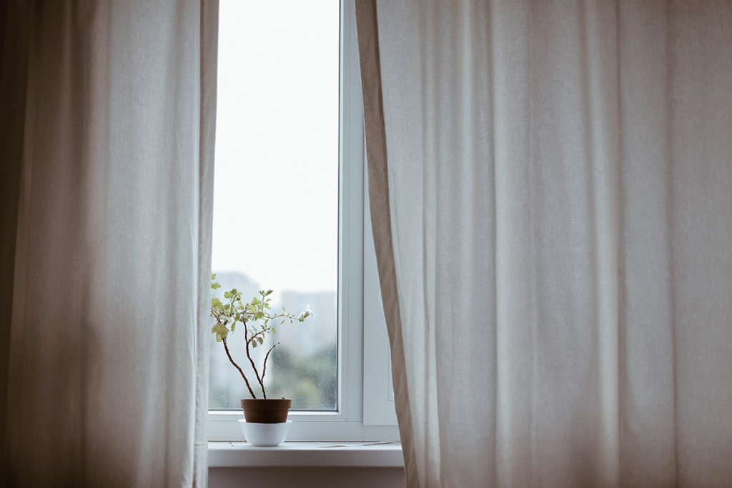 piantina verde su vaso appoggiata su davanzale finestra con tende bianche